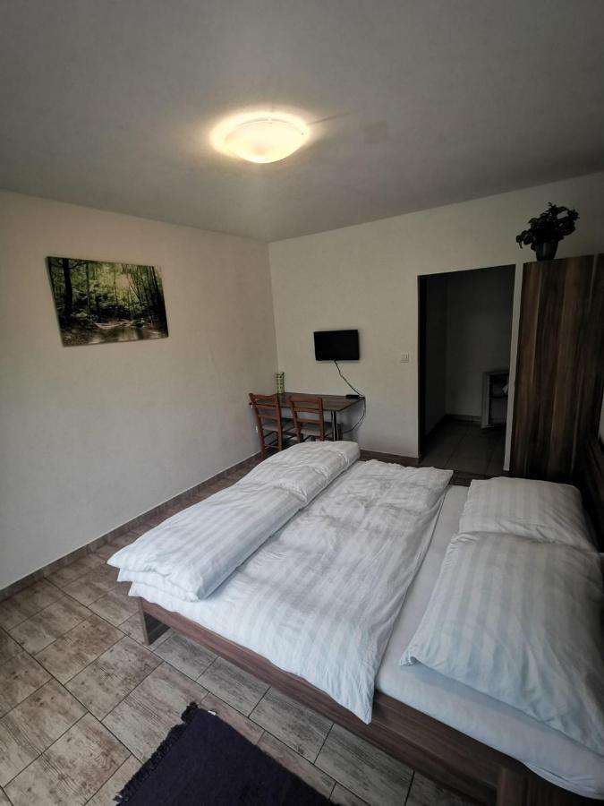 Stare Mesto  Apartmany Pod Landstejnem المظهر الخارجي الصورة